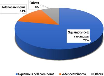 A Comprehensive Discussion in Vaginal Cancer Based on Mechanisms, Treatments, Risk Factors and Prevention